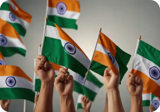 Hand flags — Buy Online India