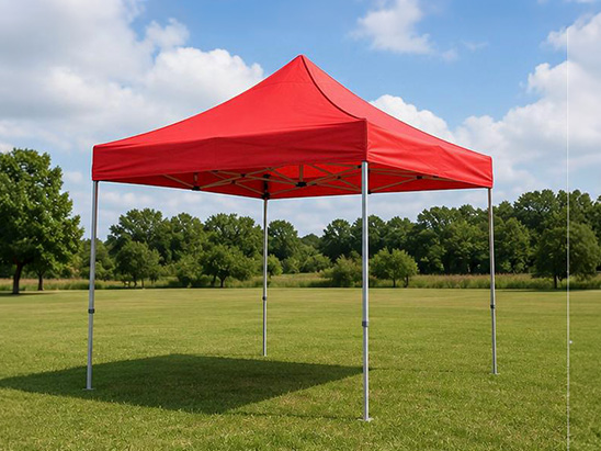 Plain Canopy Tent — Buy Online India